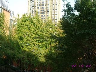 F0BFA1A0-585E-4143-BCF0-5B09C40C36C2/L0/001