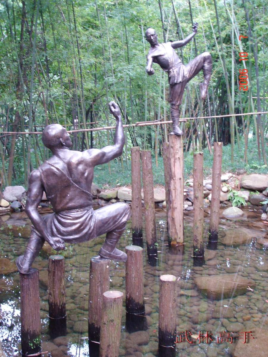 武术.梅花桩上的挑战