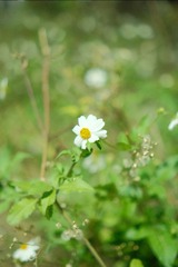 CFF1ABDE-F3CC-4C33-BB63-26C81BB3FF31/L0/001
