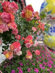 F0C064AB-A66F-48FA-9196-FC76743F30E8/L0/001