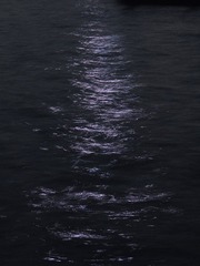 64E58499-F6C7-4FE8-96CB-25021C8F7762/L0/001