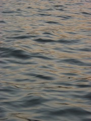 1AF3B887-CB8F-4B9C-9423-198D5F70D973/L0/001