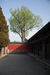 168043