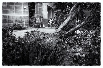 L1000318 BW 1.jpg