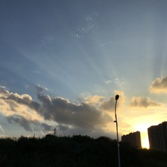 AD954CBD-D945-45F6-BAA5-C089EEE95016/L0/001