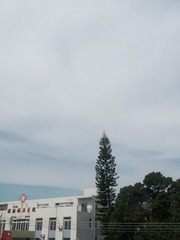 18440D5D-F102-4665-9DD5-49D4E6A6C127/L0/001
