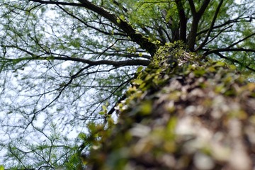 P1080122.jpg