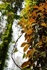 P1080168.jpg