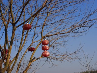 P1010136
