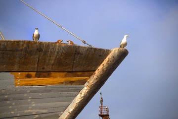 58D55660-0FD7-495D-AAF6-D5F120F6BF8A/L0/001