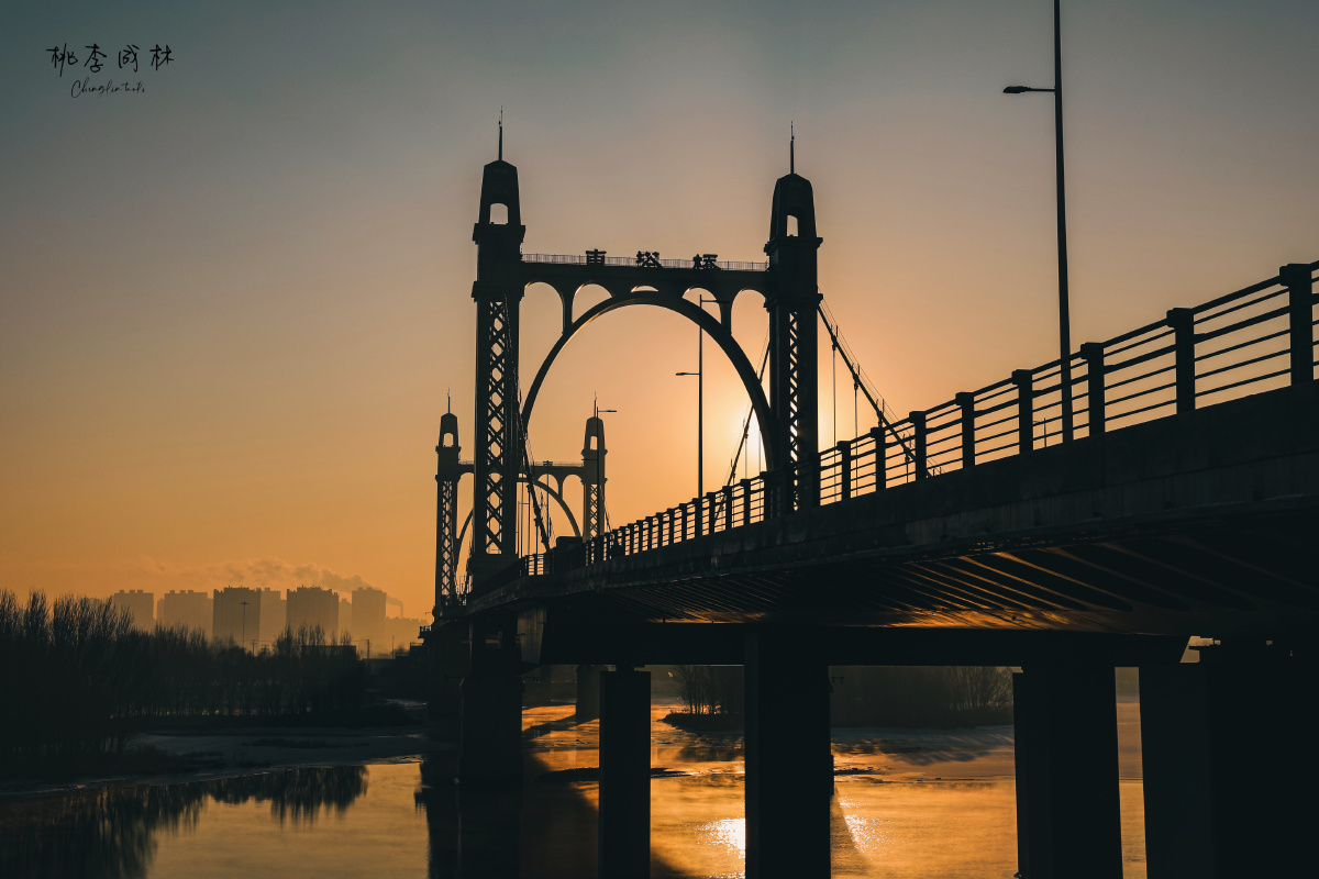 沈阳扫街——东塔桥 - 桃李成林 - 图虫