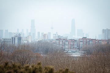 8CF57AFD-3108-413F-AD05-6BF11FA5AA1F/L0/001