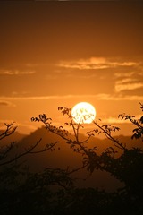 2E27C139-42F7-4C11-8D06-05C7DDAE7100/L0/001