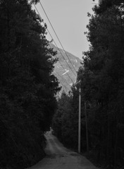 1000063515
