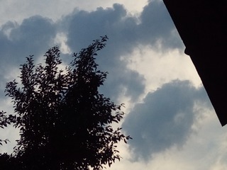 2684804