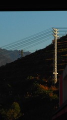 398077
