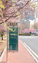 FC95896D-71E8-49CD-A128-D6B54A519E30/L0/001