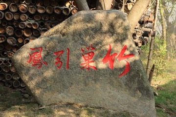 1000005493
