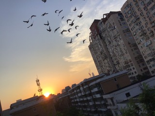 434D260A-91CF-4AA0-9734-BE8CA6E8B16D/L0/001