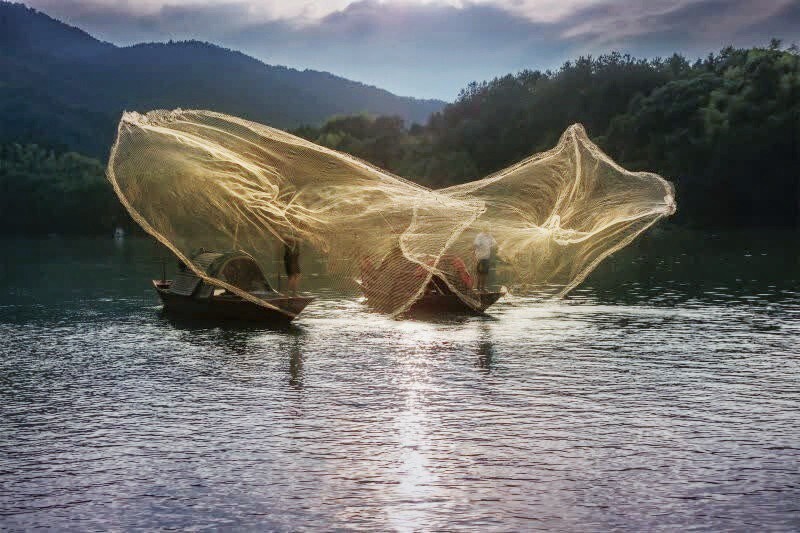 白虾大虾养殖技术