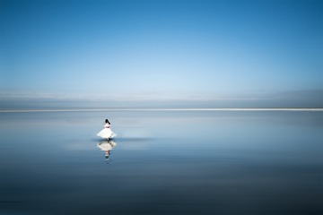 353