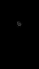 C3777212-F821-4F8A-8164-B14788FB3F53/L0/001