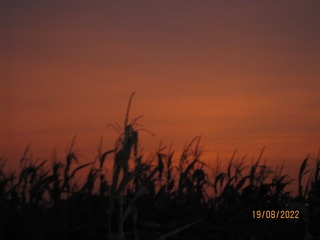 10B4EBD6-73D6-46D7-B705-7FC314C0FDB5/L0/001
