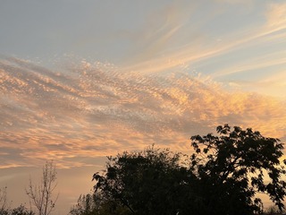 5394631A-B5C4-4D9C-8C03-B0A6FE667955/L0/001