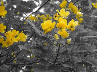 79B64588-744E-4091-83D6-12EF4546D5A6/L0/001