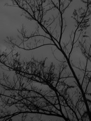 82982221-6C7B-4A2D-AB6B-78F26F9E84E0/L0/001
