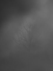 2BF9A41A-5F8D-4AD5-93FE-06108EBFB384/L0/001