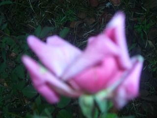 143FAB0A-4487-49A8-992C-BDDD4AAA8431/L0/001