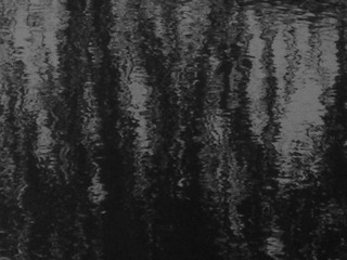 E60134FE-8FE8-4C04-8988-0CBDF5AEC55D/L0/001