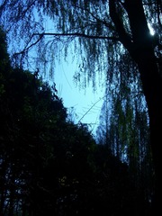 203DF300-FFD3-4B3B-9A34-B831A6705C0A/L0/001
