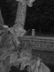 11121EFB-7102-4AEC-BD39-09702348D837/L0/001