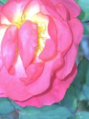 6F534D2A-74C3-498D-87BA-9AE63F047D92/L0/001
