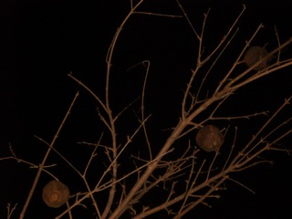 125C9774-3B05-486B-BF2B-C1CFF0B3DC8A/L0/001