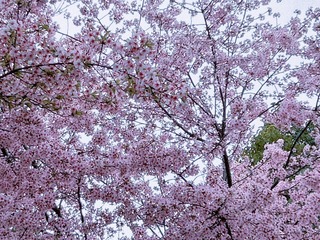 20C58162-AB7E-4B80-B3D2-C7DC9BFB30B7/L0/001