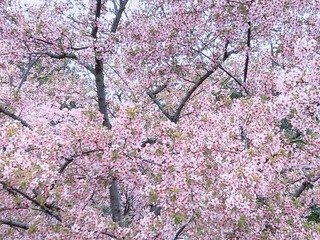 A57A2F94-FF54-4606-88A8-61B8A72399A9/L0/001