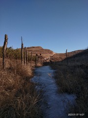 2643797