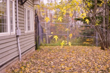 DSC03214.jpg