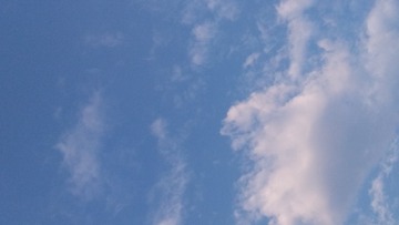 D9BD07BD-E5AA-47D4-9CA9-C8DD60CE2206/L0/001