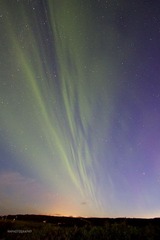 _MG_2626.jpg
