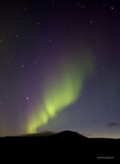 _MG_2650.jpg