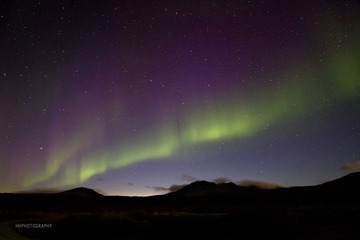 _MG_2652.jpg