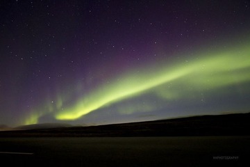 _MG_2660.jpg