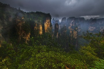 IMG_9484.jpg
