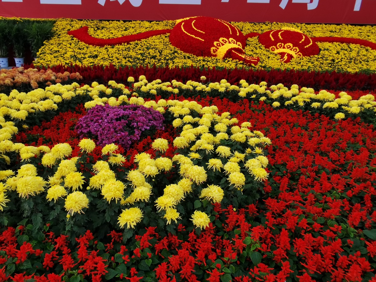 金秋十月喜迎国庆