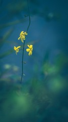 IMG_20240405_183956
