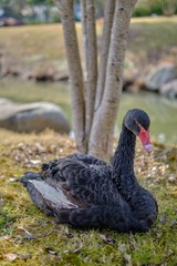 DSCF7471